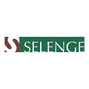 Selenge Yayınları